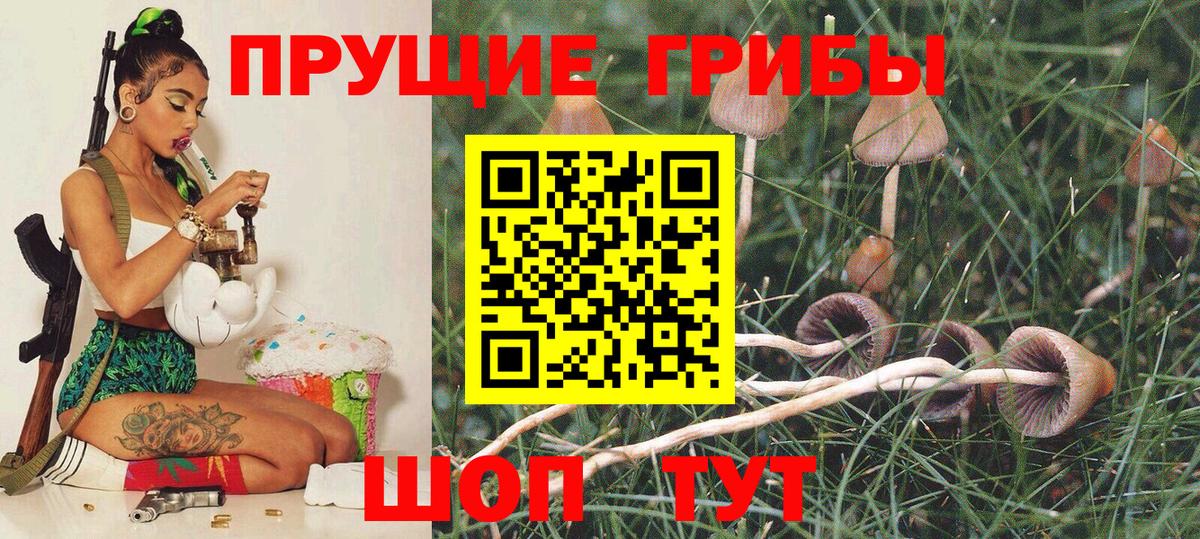 Псилоцибиновые грибы прущие грибы  Вход с VPN  Тула 